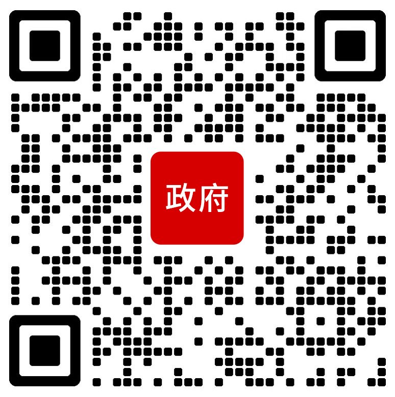 第十一届大赛