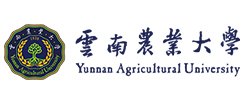 获奖证书查询