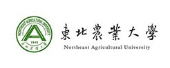 第十一届大赛